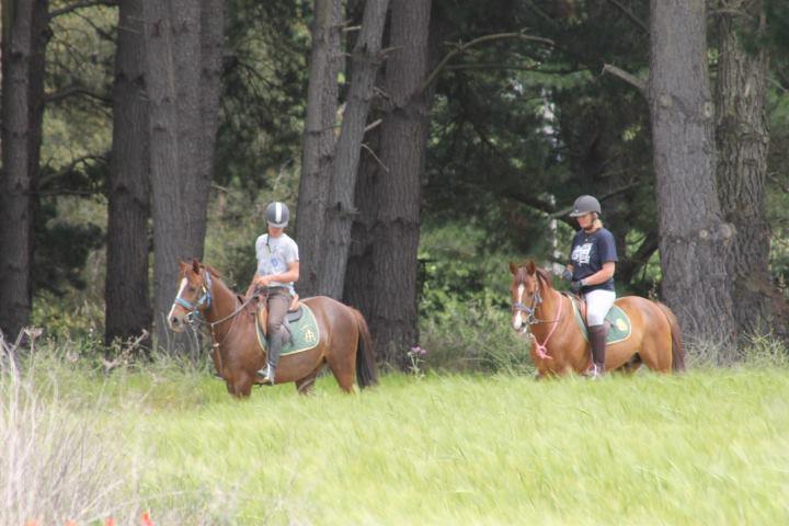 Хостел Residential Horse Club Costa Brava Санта-Кристина-де-Аро Экстерьер фото